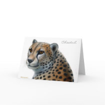 Cheetah Greeting Card