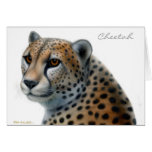 Cheetah Greeting Card
