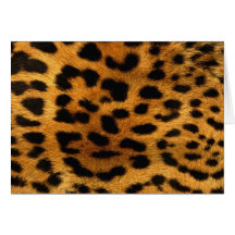Cheetah Greeting Card