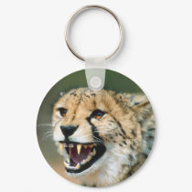 Cheetah Growl Keychains
