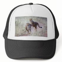 Cheetah Hat
