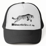 Cheetah hats