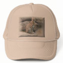 Cheetah Hat