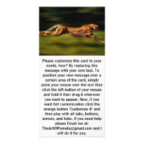 Cheetah Hunting His Prey Customized Photo Card