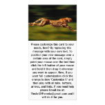Cheetah Hunting His Prey Customized Photo Card