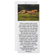 Cheetah Hunting His Prey Custom Rack Cards