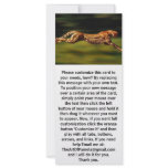 Cheetah Hunting His Prey Custom Rack Cards
