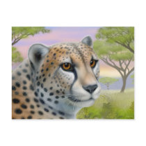Cheetah in Africa Postcard