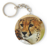 Cheetah Key Chains