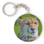 cheetah keychains