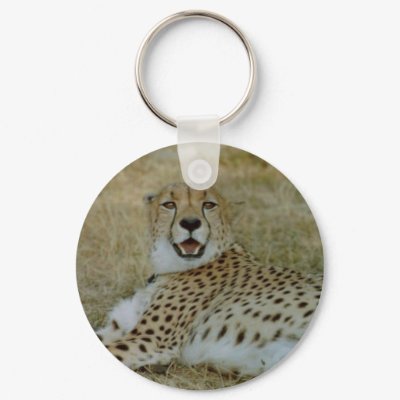 Cheetah Keychain by quetzal323