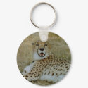 Cheetah keychains by quetzal323 Cheetah keychains