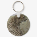 Cheetah keychains by quetzal323 Cheetah keychains