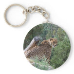 Cheetah Keyring Keychains