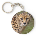 Cheetah Keyring Key Chain
