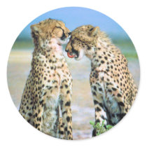 Cheetah Kisses stickers