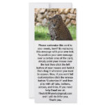 Cheetah Looking at his Prey Customized Rack Card