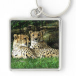 Cheetah Lounging Grunge Key Chain