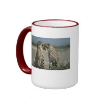 Cheetah Love 15oz. Ringer Mug by SusanneMPyrography Cheetah Love 15oz. Ringer Mug