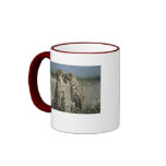 Cheetah Love 15oz. Ringer Mug