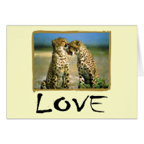 Cheetah Love cards