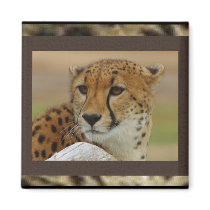 Cheetah Magnet