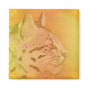 cheetah magnets by lissame73 cheetah magnets