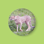 Cheetah Refrigerator Magnets
