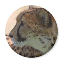 Cheetah magnets