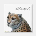 Cheetah Magnet