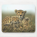Cheetah Mom and Cub Mousepad