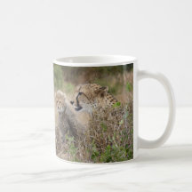 Cheetah Mother and Cub Mugs