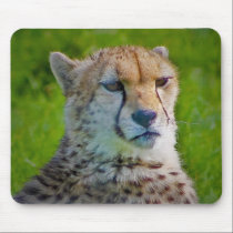 cheetah mousepads