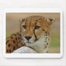 Cheetah Mouse Pad