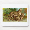 Cheetah mousepads by pinkalmond Cheetah mousepads