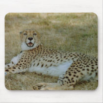 Cheetah Mousepad