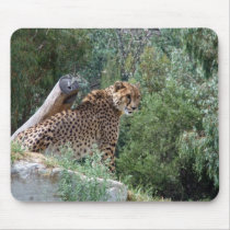 Cheetah Mousepad by PhotoPixie Cheetah Mousepad