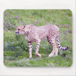 Cheetah Mouse Pads