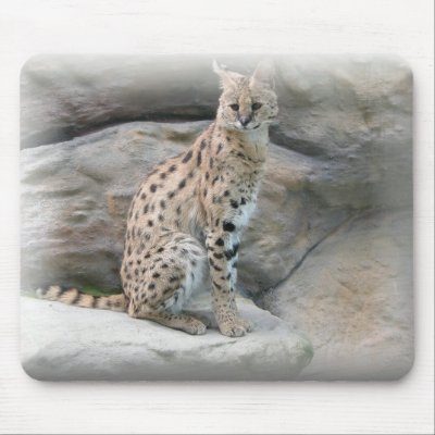 Cheetah Mousepad by deesbasenjis