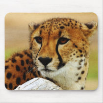 Cheetah mousepads by pixelholic Cheetah mousepads