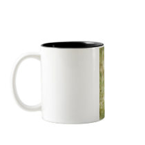 Cheetah Mugs