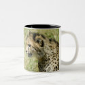 Cheetah mugs by mlane53 Cheetah mugs