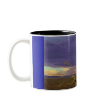 Cheetah mugs by ninaleighk Cheetah mugs