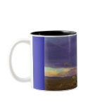 Cheetah mugs