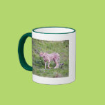 Cheetah Mugs