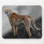 Cheetah on guard mouse pad