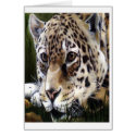 Cheetah Painting Card by SherryHolderHunt Cheetah Painting Card