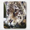 Cheetah Painting mousepad