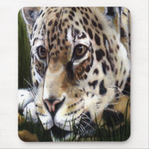 Cheetah Painting mousepad by SherryHolderHunt Cheetah Painting mousepad