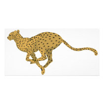 Cheetah! photo cards by LSDmeCom Cheetah! photo cards